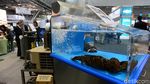 Ini Pameran Seafood Terbesar di AS yang Dikunjungi Menteri Susi