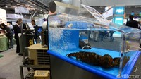Pameran diikuti oleh para pemain besar dalam industri besar dunia seafood di Amerika Utara. Tidak hanya peritel melainkan distributor dan pemain besar dalam industri seafood di dunia.