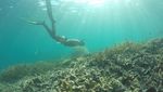 Foto: Laut di Kupang yang Sempat Tercemar Sampah Selama 30 Menit