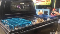 Penertiban tersebut dilaksanakan berdasarkan pengaduan warga atas keberadaan kucing liar yang cukup mengganggu.  (Foto: Rani-detikcom)