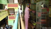 Alasan menyukai kucing karna sejak kecil sudah pelihara kucing bersama neneknya, hingga kini ia merasa senang bisa hidup dan berbagi bersama kucing.