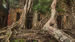Foto: Pulau Angker di Samudera Hindia