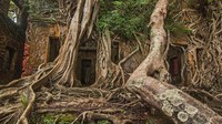 Setelah India merdeka tahun 1947, pulau ini kembali diserahkan oleh Inggris ke India. Sepenuhnya diambil alih Angkatan Laut India pada tahun 1979. (Neelima Vallangi/BBC travel)