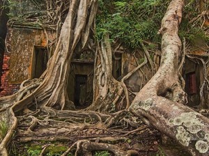 Kisah Pulau Angker di Samudera Hindia yang Kamu Belum Tahu