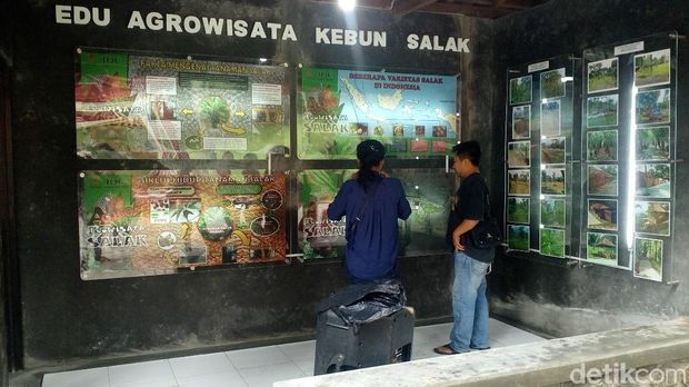  Ubaya Edu Agrowisata/