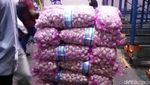 5 Ton Bibit Bawang Putih Disegel Kemendag