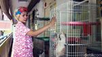 Kesedihan Mama Ciko yang Kucingnya Dibawa Petugas
