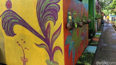 Penuh Warna di Kampung Buricak Burinong