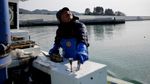 Foto: Dinding Raksasa Pemecah Tsunami di Jepang