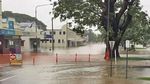 Foto: Banjir dan Keberadaan Buaya yang Ancam Warga Queensland