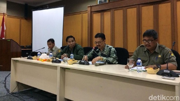 Ada Impor Bibit Bawang Putih untuk Konsumsi, Ini Respons Kementan