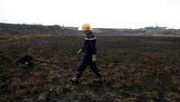 Petugas melintas di lokasi jatuhnya pesawat.