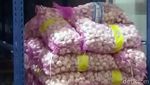 5 Ton Bibit Bawang Putih Disegel Kemendag