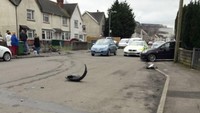 James Aston (12) mengambil beberapa foto sekitar 5 menit setelah kejadian.  (Foto: Dok. James Aston via Wales Online)
