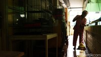 Mama Ciko pun merasa kecewa karna kucing yang ia piara sendiri harus diangkut juga oleh Sudin KPKP.