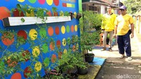 Bukan hanya di cat, disetiap dinding luar rumah ada beberapa gambar yang unik dengan pola-pola menarik, seperti sebuah karya seni indah. Sehingga menambah suasana semarak dan enak dipandang mata.