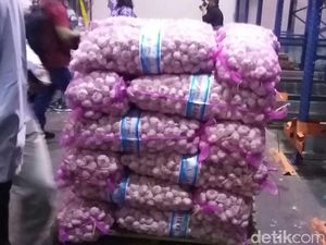 Ada Impor 100 Ribu Ton Bawang Putih, Cukup hingga Lebaran?