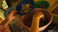 Mama Ciko menyiapkan pakan untuk kucing peliharaanya.