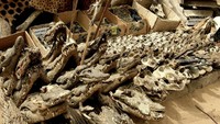 Akodessewa merupakan pasar jimat di Lome, Togo, Afrika. Di sini, terdapat berbagai jimat termasuk boneka voodo, kepala buaya, tangan simpanse atau binatang ekstrem lainnya (Thinkstock)