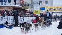 Sementara itu, untuk tempat paling dingin ada di Fairbanks, Alaska. Suhu terendah bisa mencapai -40 derajat Celsius (Sherman Hogue/Explore Fairbanks/CNN)