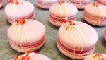 10 Macaron Cantik Antimainstream, Tak Tega Dimakan!