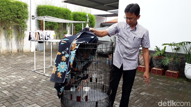 Cerita Dede, Pemilik Burung Murai Batu Tolak Tawaran Jokowi Cerita Dede, Pemilik Burung Murai Batu Tolak Tawaran Jokowi