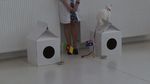 Ini Achilles, Kucing Tuli yang Jadi Peramal Piala Dunia 2018