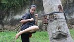 Foto: Sosok Chintya, Pendekar Silat Cantik yang Viral karena Push-up Satu Jari