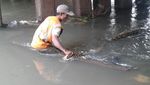 Foto: Ini Ular Sanca 4 Meter di Kali Pesanggrahan yang Bikin Kaget
