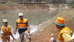 Foto: Ini Ular Sanca 4 Meter di Kali Pesanggrahan yang Bikin Kaget