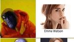 Emma Stone hingga Patrick Jadi Meme Infinity War