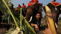 Hingga 2015 lalu, populasi gajah di Thailand sekitar 3.000 ekor. (Foto: Dok. REUTERS/Athit Perawongmetha)