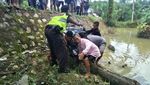 Harley Nyemplung ke Rawa-rawa