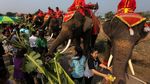 Foto: Hari Gajah Nasional Diperingati di Thailand