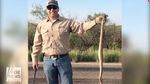 Foto: Invasi Sigung dan Ular Derik Ancam Warga New Mexico