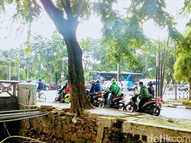 Bersembunyi dari Balik Pohon, Pemotor Lawan Arus
