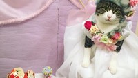 Dengan manis Maro berpakaian meniru Marie Antoinette, Ratu Perancis terakhir yang dikenal gemar menyantap kue dan makanan manis lainnya. Duh, gemas! Foto: Instagram @rinne172