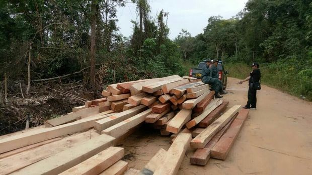 Sempat Kejar-Kejaran, Bos Kayu Illegal Logging di Sumsel Ditangkap