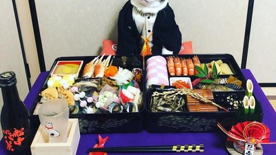 Duh, Genitnya! Kucing Ini Spesial Berdandan untuk Pose dengan Makanan