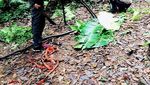 Senyum Dulu Pagi Ini, Lihat Meme Kocak Pendaki Gunung