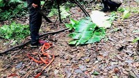 Kalau yang ini salah satu kekurangan jadi pendaki (abang_geri/Instagram)