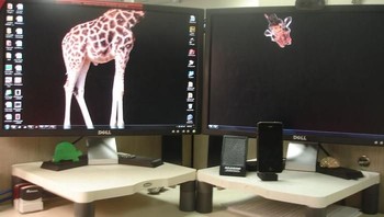  Leher jerapah yang panjang nongol di monitor sebelahnya. Foto: Boredpanda