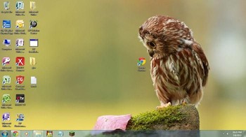 Lirikan burung hantu melihat browser Chrome. Foto: Boredpanda