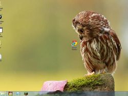 Wallpaper Desktop Komputer yang Lucu dan Kreatif