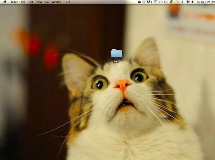 Wallpaper Desktop Komputer yang Lucu dan Kreatif