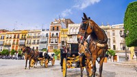 Sevilla dapat ditempuh selama 3 jam naik kereta atau 1 jam naik pesawat dari Kota Madrid (Thinkstock)
