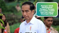 Kenapa tidak dikeluarkan perppu? Ya sama saja. Perppu itu kan kalau sudah jadi kan harus disetujui oleh DPR. Gitu loh. Masak pada nggak ngerti, terang Jokowi.