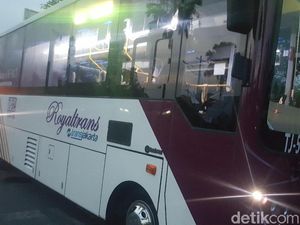 Tiket Turun Jadi Rp 10 Ribu, Penumpang RoyalTrans Naik 200%