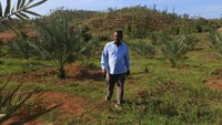 Mahdi kini tak sendiri membuka kebun kurma di sana. Dia dan 78 orang lainnya sudah membentuk Koperasi Petani Kurma Lembah Barbate. Mereka punya lahan dengan luas keseluruhan mencapai 320 hektare. Namun sekarang baru lahan milik Mahdi dan Sukry Syafii (42) yang sudah ditanami tanaman kurma. 