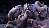 Misalnya saja seperti kondisi tidak sehat hingga kerja paksa hingga hukuman, kelaparan dan penahanan.